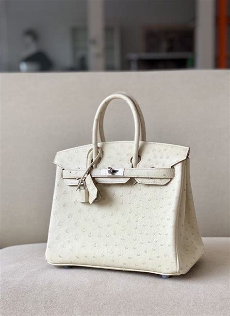 hermes birkin white ostrich|Hermes Birkin ostrich price.